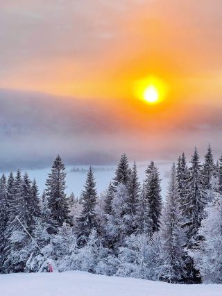 The holy land of skiing in Sweden, Åre Ski Resort
