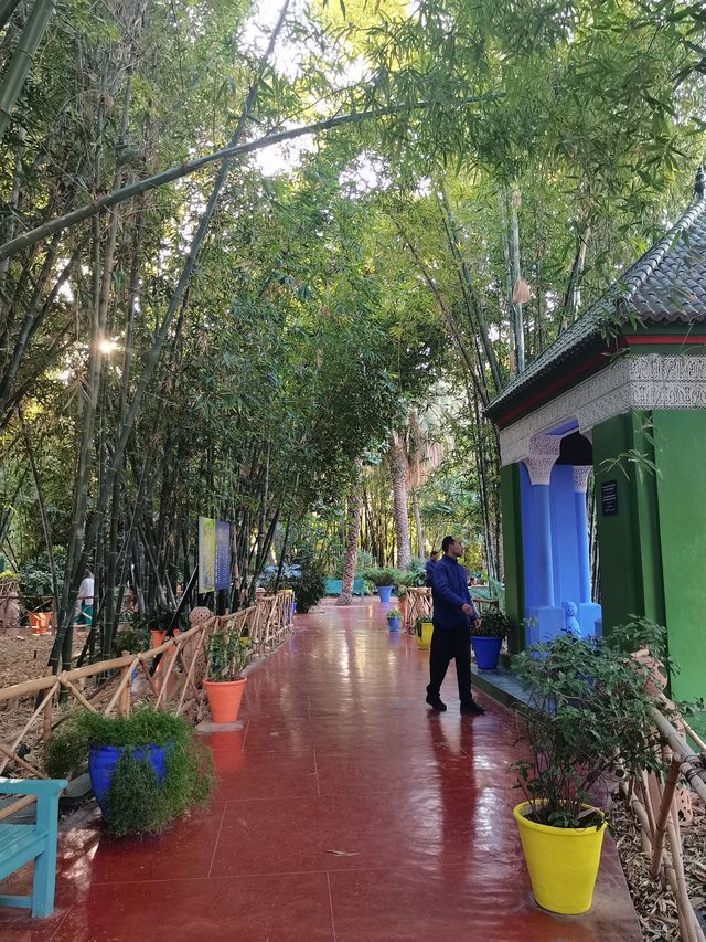 馬拉喀什馬約爾花園