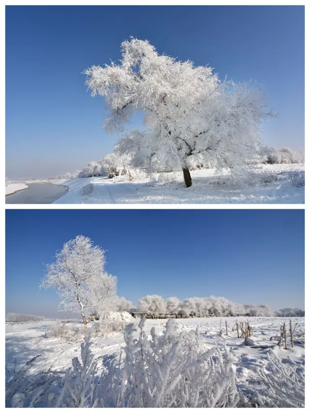 Jilin Wusong Island, one of the four natural wonders of China, is a fairy-tale landscape in winter