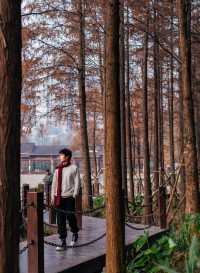 重慶主城區的後花園| 冬天也能出片的寶藏公園