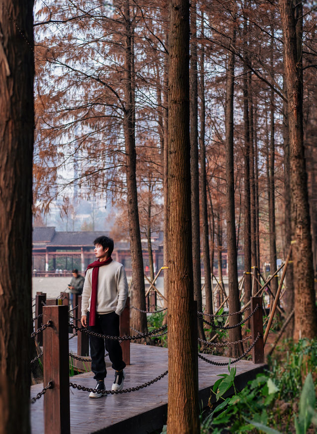 重慶主城區的後花園| 冬天也能出片的寶藏公園