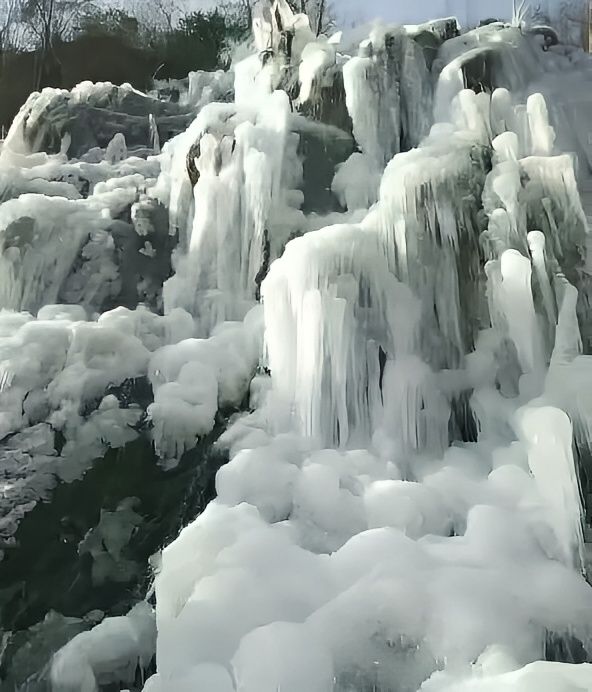 康縣：邀您共賞冬日美景