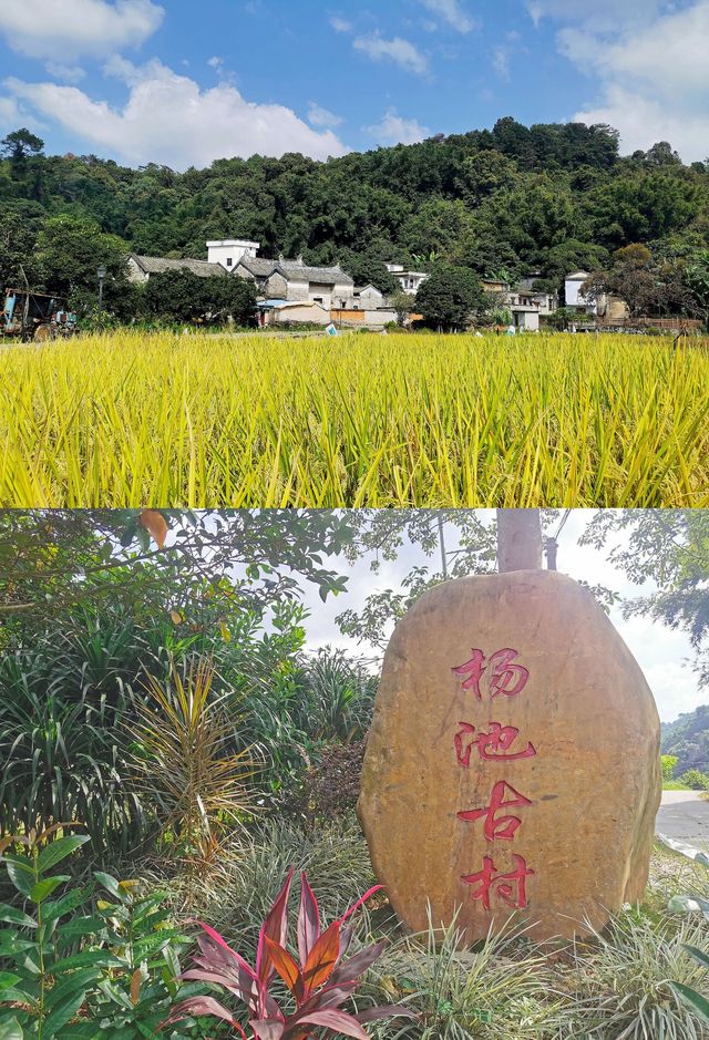 嶺南第一村，廣東封開楊池古村