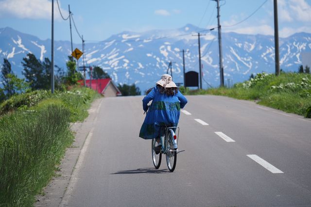 美瑛 北海道不只只有冬天