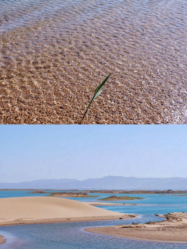 乌海|一湖一沙漠一樹一修行