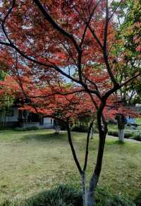 江蘇泰州-梅蘭芳公園