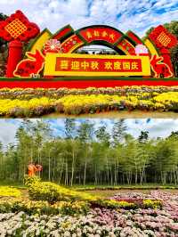 義烏植物園，菊韻醉金秋