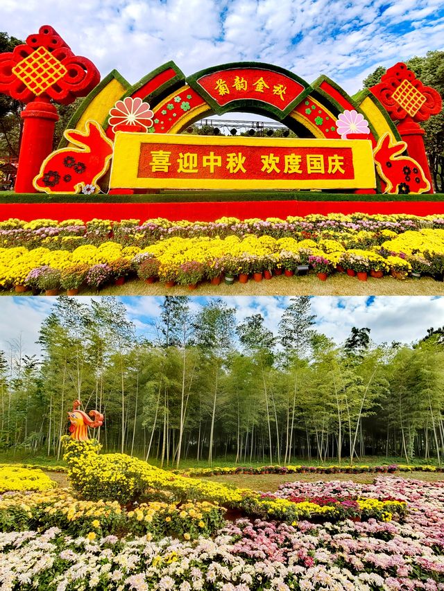 義烏植物園，菊韻醉金秋