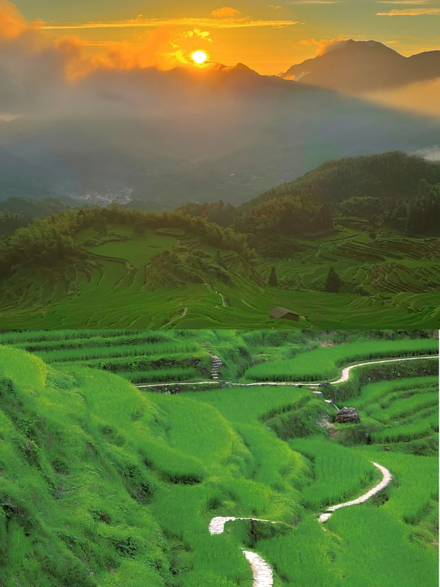 這裡有日出雲海這裡有梯田古村