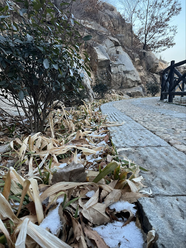 泰安賞雪好去處——還能看冰瀑