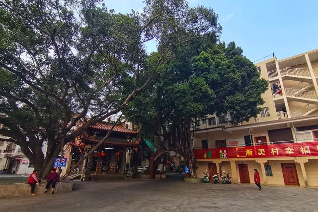 漸行漸美——走進全國文明村“漸美村”