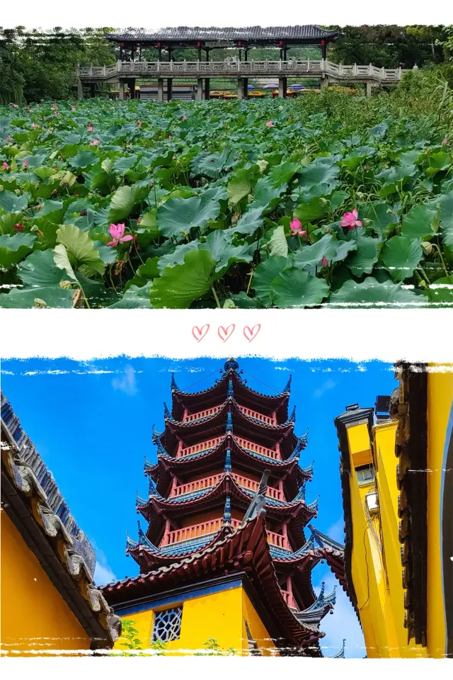 Fireworks bloom in March, and I travel with you to Yangzhou and Zhenjiang for a budget trip
