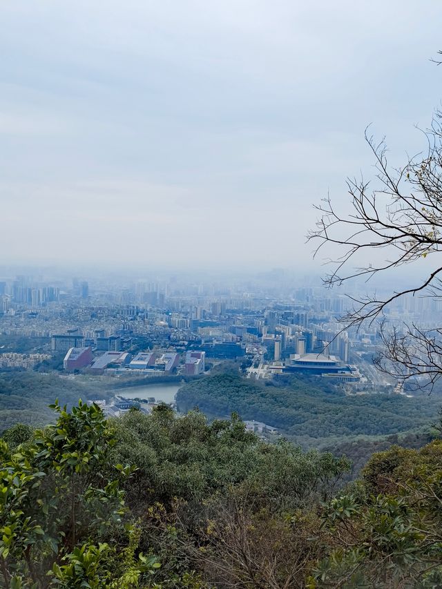 必打卡：雲山登頂絕美景觀扶梯