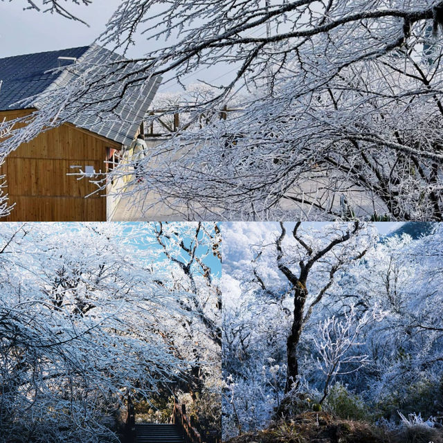 太震撼了！原來天空之城就在梵淨山