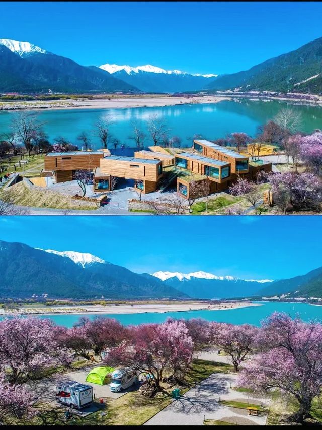 林芝山澤居‖躺在桃花裡看南迦巴瓦日照金山