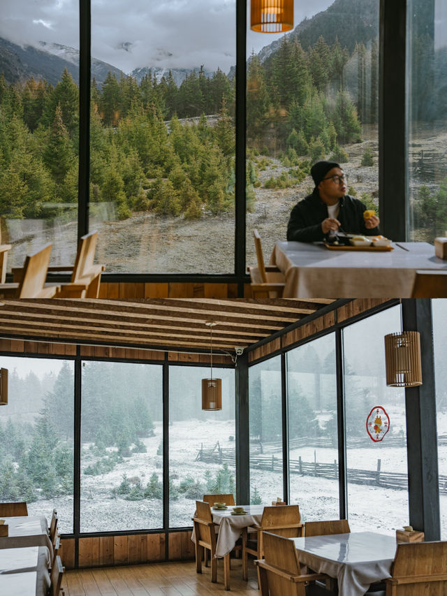 成都3h | 住進神山雪寶頂下童話森林木屋