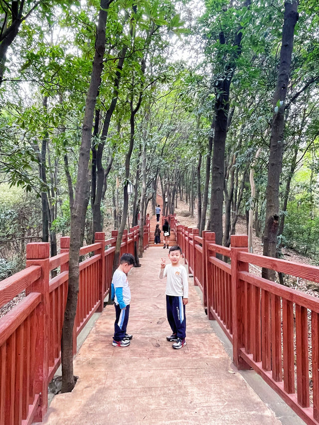 徒步賞花誤入佛山小京都 ｜展旗峰生態公園｜廣州周邊親子遊