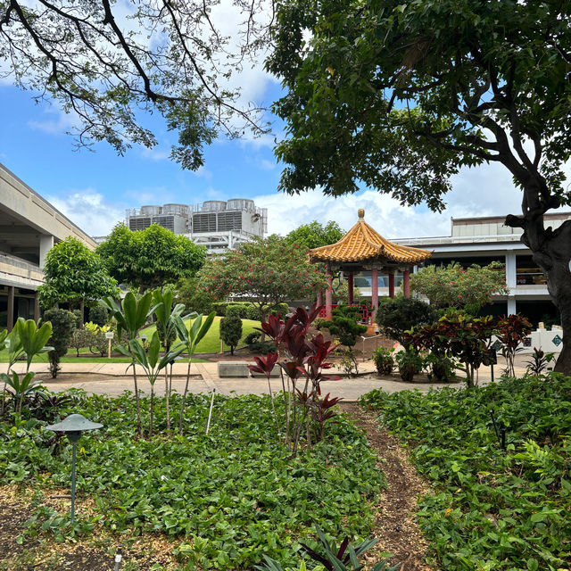 Beautiful Airport 🌺 