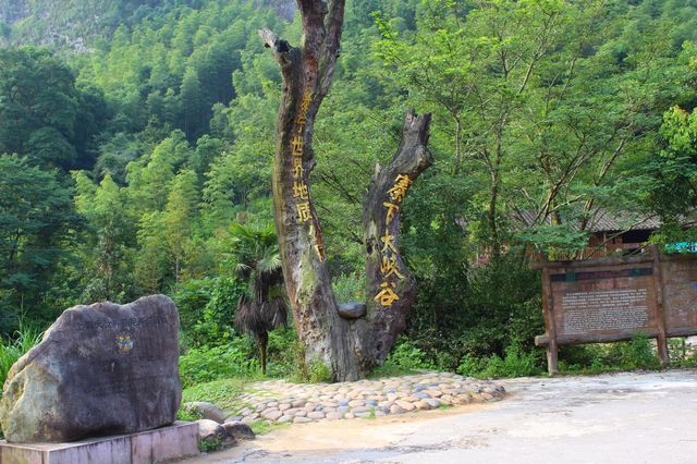 福建山海行一一泰宁大金湖