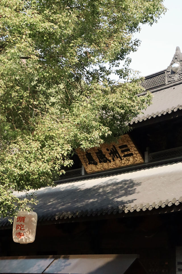 溫州頭陀寺半日遊