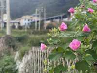 福建客家桃源-武平尧禄村-最美鄉村系列