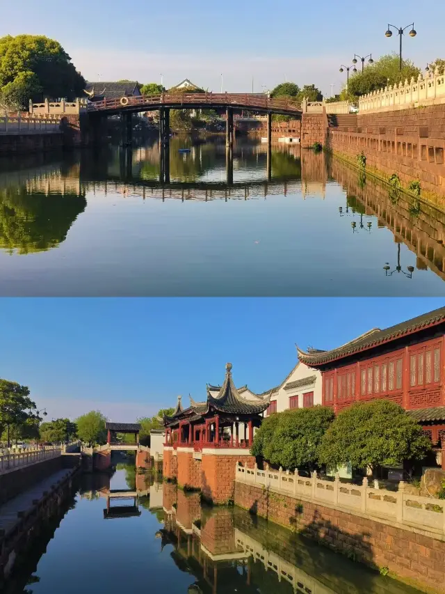 春日賞花梅湖八大山人