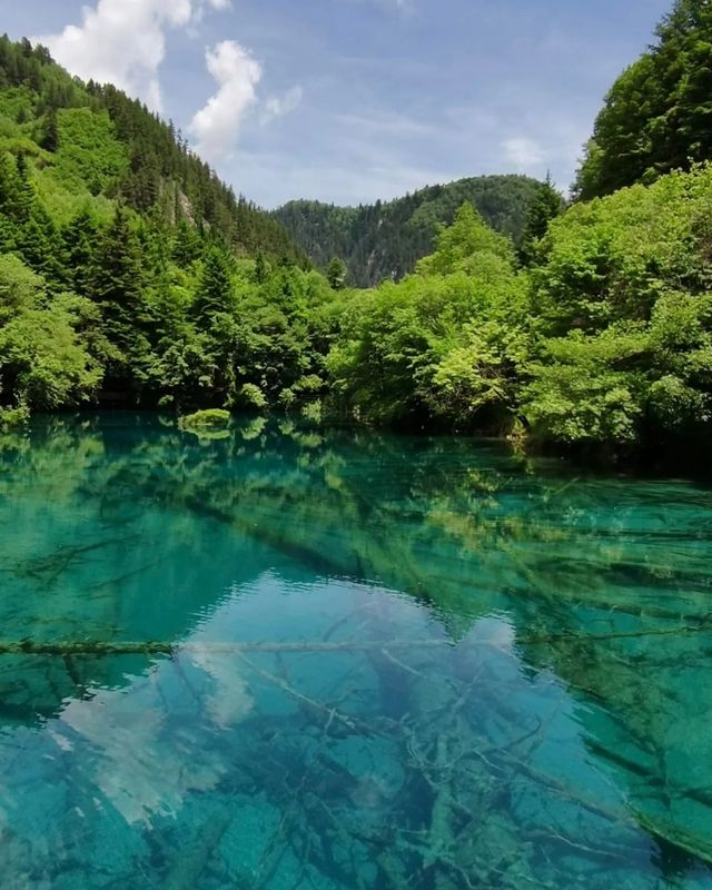 沒騙你九寨溝是全國唯一一個宣傳圖與實景完全相符的景區