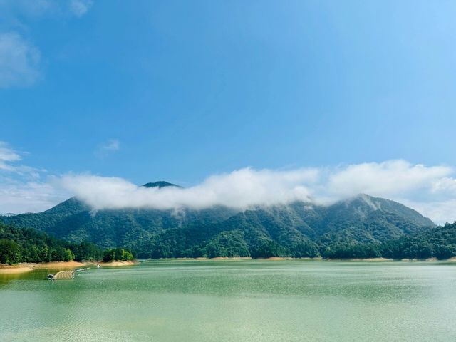 打卡永安龍頭國家濕地公園