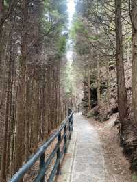 武功山登山之旅