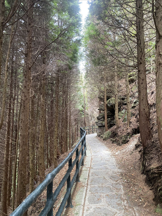 武功山登山之旅