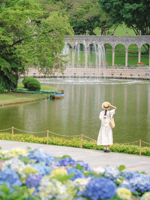 不愧是廣州莫奈花園！！開滿繡球的公園好美