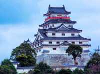 Water Castle Sakura