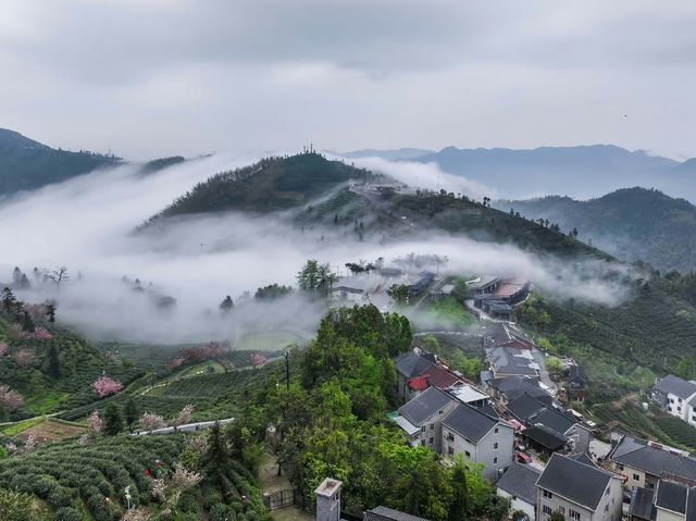花筑奢·杭州｜來安頂山，邂逅品茶賞景的隱秘之地
