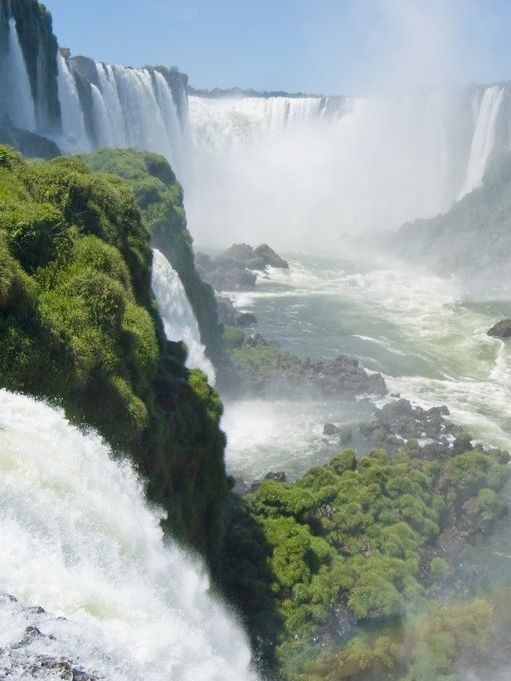 🌟 Wild Argentina 🌟