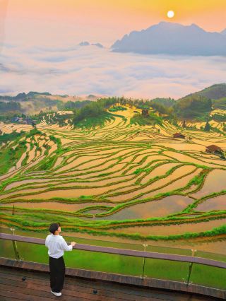 I regret not coming to Jiangsu, Zhejiang, and Shanghai earlier to witness such a beautiful sunrise over the sea of clouds and terraced fields