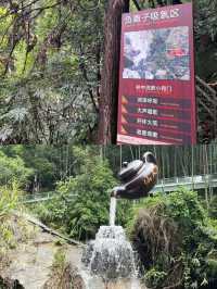 仙人洞|仙人撫我頂，結髮受長生