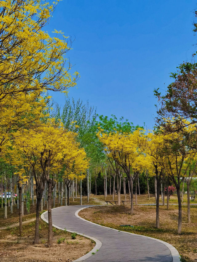 我遲遲不願意拿出來分享的小眾公園