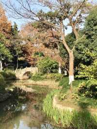 美麗上海紅園風景