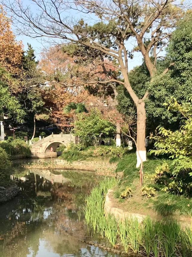 美麗上海紅園風景