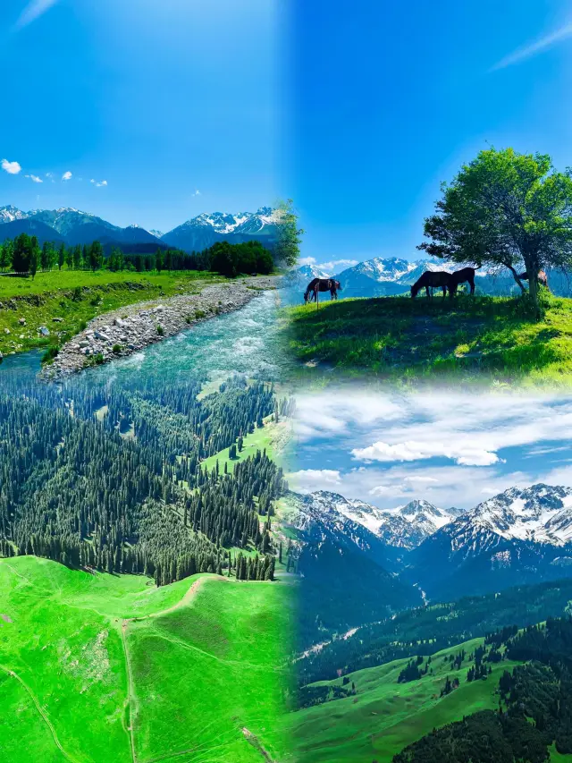 In Xinjiang | A sparsely populated little grassland