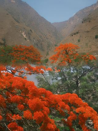 A treasure town in the mountains of Yunnan