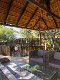 🌟 Pilanesberg's Top Safari Stay: Ivory Tree Game Lodge 🌟