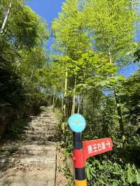 安吉「高家堂村」，恬靜與狂野的「兩面派」