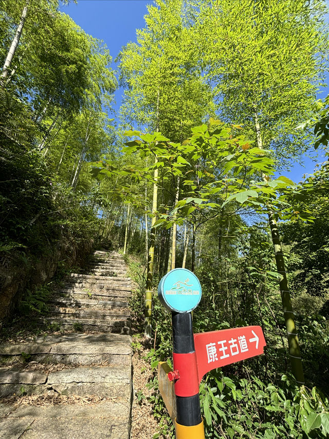 安吉「高家堂村」，恬靜與狂野的「兩面派」