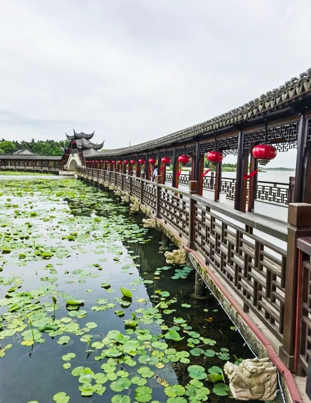 昆山錦溪：一窗美景，皆是江南