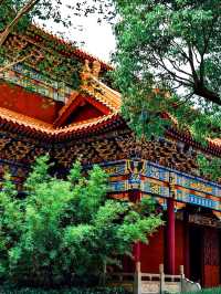 西普陀寺：藏於貴陽繁華鬧市中的一片淨土