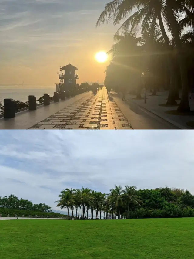 綠野仙踪：紅樹林下的詩意漫步