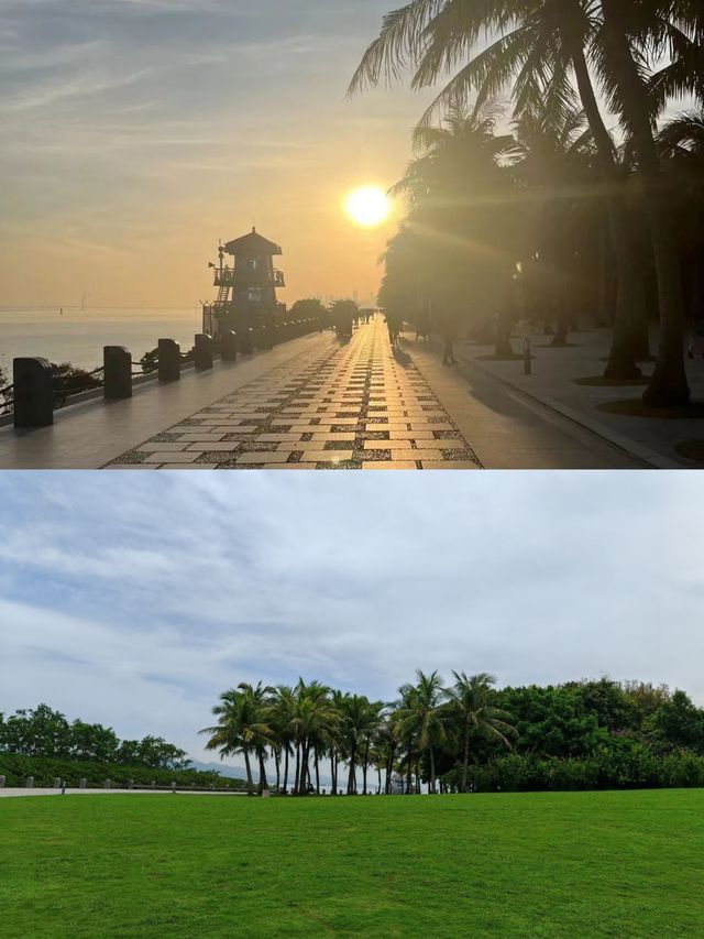 綠野仙踪：紅樹林下的詩意漫步
