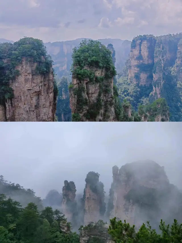 무릉원 백룡천계｜긴 줄 서기 싫으면, 도와드릴 수 있는지 봅시다