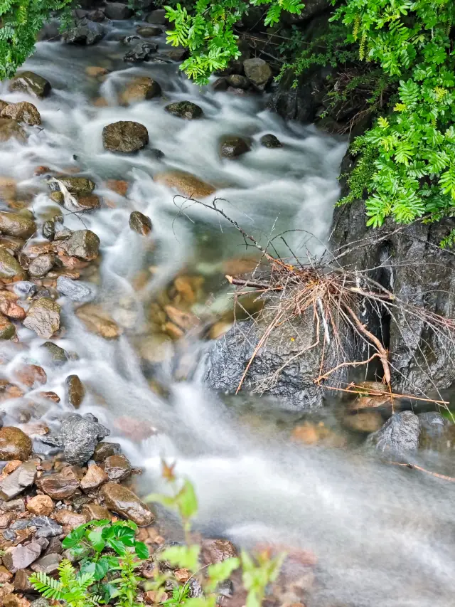 Zuishan Wild Scenery Area - a place for leisure and vacation